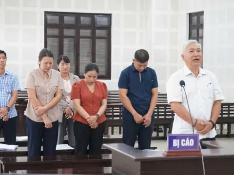 Nguyên giám đốc Cảng vụ Hàng hải lĩnh án vì lập khống hàng trăm chuyến công tác