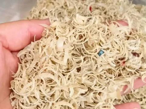 Thứ vô giá trị không ai thèm "ngó" không ngờ được thu mua với giá hơn 500.000 đồng/kg
