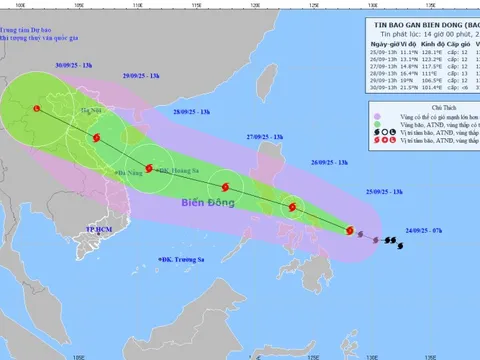 Bão RAGASA suy yếu thành ATNĐ, bão BUALOI gần Biển Đông