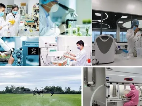 Tổng Giám đốc WIPO: Thành tích tăng hạng đổi mới sáng tạo của Việt Nam 'rất hiếm có'