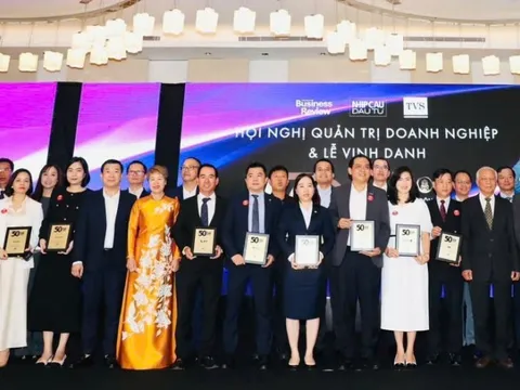 Bảo Việt (BVH): Top 50 Công ty kinh doanh hiệu quả nhất Việt Nam 2025