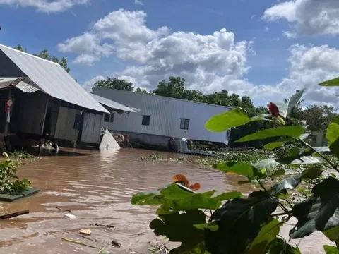 Đồng Tháp công bố tình huống khẩn cấp sạt lở bờ sông Tiền