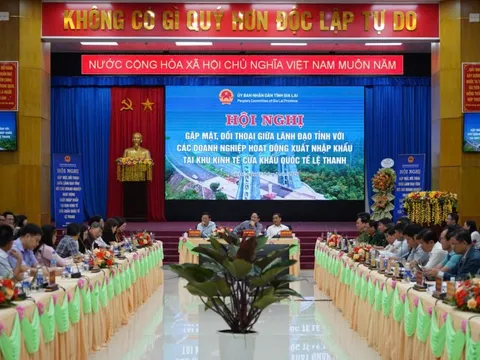 Doanh nghiệp xuất khẩu Gia Lai gặp khó vì "85km phải 8 lần kiểm tra giấy tờ"