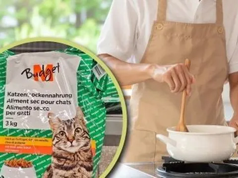 Nam thanh niên ăn thức ăn cho mèo để tiết kiệm tiền