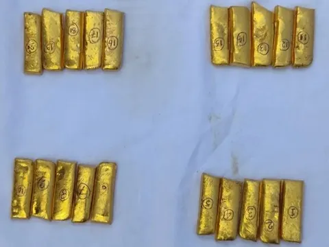 Phát hiện 20 thỏi vàng trị giá 3,8 tỷ đồng trên xe ô tô