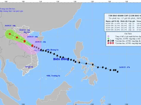 Bão số 10 đổ bộ đất liền sáng sớm 29/9, cảnh báo gió mưa lớn, gió giật dữ dội