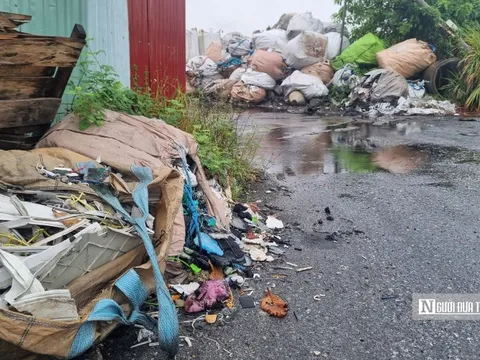 Tp.Hải Phòng: Rác thải công nghiệp ngập tràn ngoài đê Lạch Tray