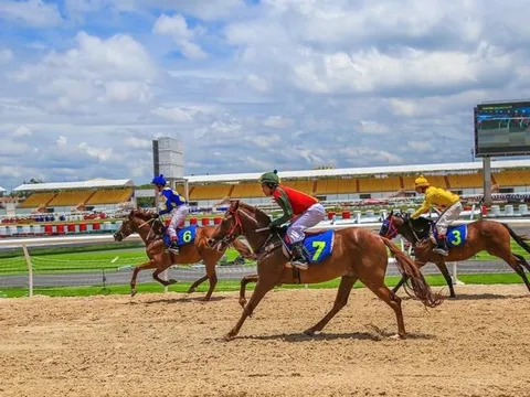 Đề xuất quy định mới về kinh doanh đặt cược đua ngựa, đua chó, bóng đá quốc tế