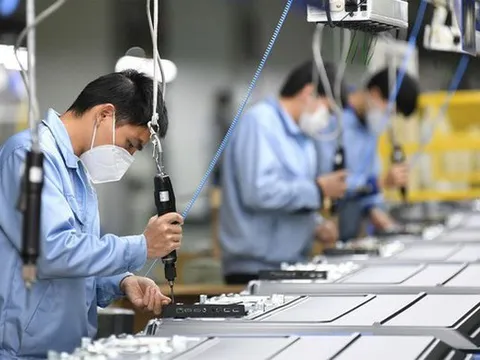 Đang hưởng trợ cấp thất nghiệp, có được hỗ trợ tiền ăn khi nâng cao trình độ kỹ năng nghề?