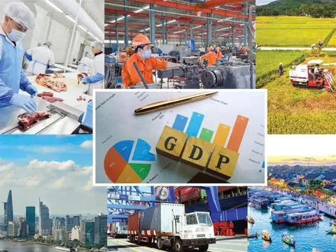 Ban hành Hệ thống ngành kinh tế Việt Nam