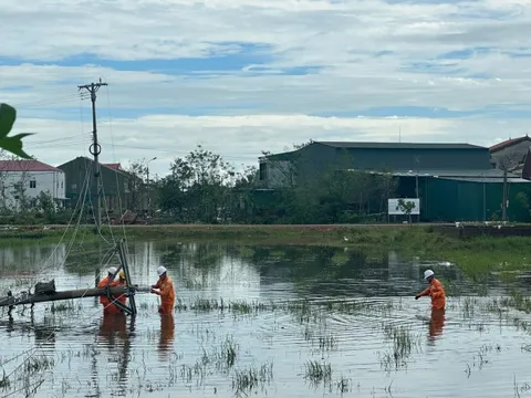 EVNNPC khôi phục và cấp điện trở lại cho trên 1,8 triệu khách hàng bị ảnh hưởng của bão số 10
