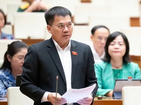 UAV có thể cứu được người, nên bổ sung quy định về hàng không tầm thấp