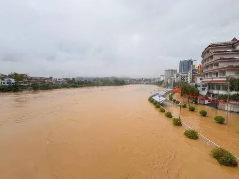 Khẩn trương khắc phục hậu quả mưa lũ tại Cao Bằng, Tuyên Quang, Lào Cai