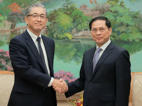 Phó Thủ tướng Bùi Thanh Sơn tiếp Tổng Giám đốc khối điện và hạ tầng toàn cầu Tập đoàn Marubeni