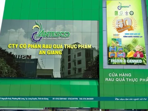 Doanh nghiệp 50 tuổi Antesco trước ngưỡng cửa HoSE