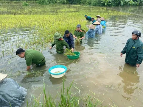 Thủ tướng yêu cầu phải thần tốc hơn nữa, huy động tối đa lực lượng khắc phục nhanh nhất hậu quả bão, mưa lũ