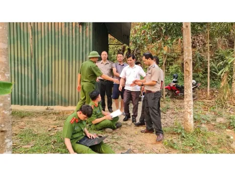 Thi hành án dân sự năm 2025: Vượt chỉ tiêu Quốc hội giao cả về việc và tiền