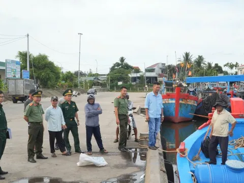 Quảng Ngãi: Nhiều tàu cá bị phạt hàng trăm triệu đồng vì vi phạm IUU