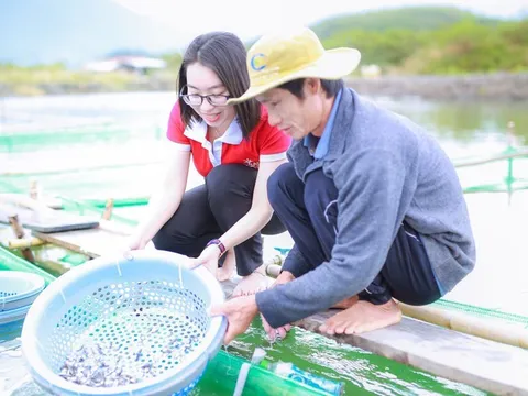 Dòng vốn tín dụng đang có sự điều chỉnh, chảy đúng hướng hơn