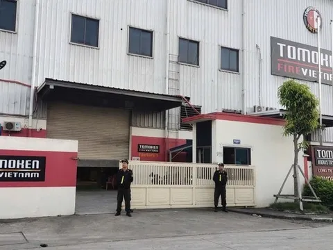 Ông tổ của liều