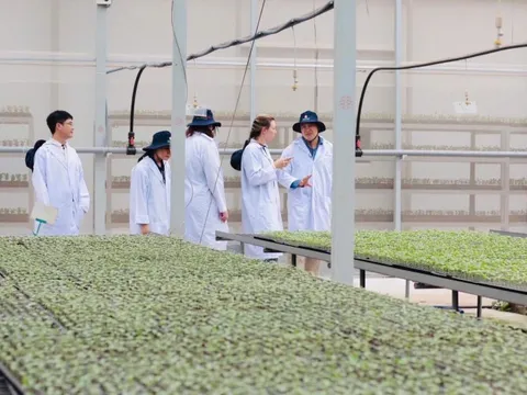 Gia Lai xây dựng kế hoạch đổi mới công nghệ các ngành kinh tế mũi nhọn đến năm 2035