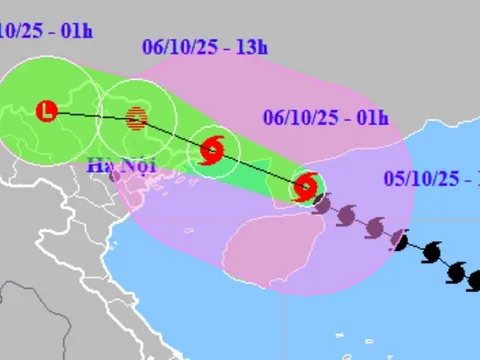 Phường Ngọc Hà: Chủ động ứng phó với bão số 11