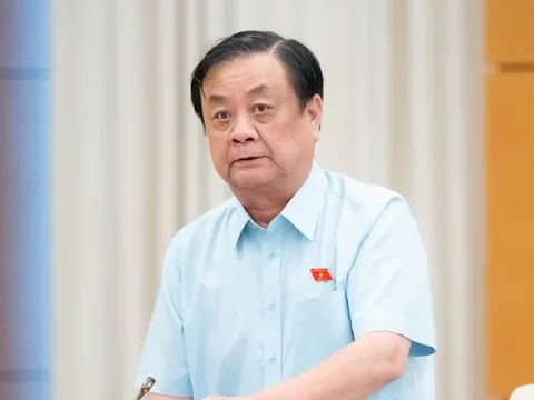 "Không thể coi sang chấn tâm lý sau thiên tai là chuyện nhỏ"