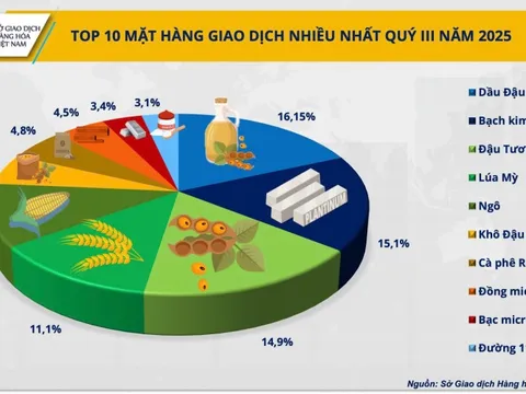 Thị phần môi giới hàng hóa: Ổn định ở top đỉnh, sôi động ở đường đua phía sau