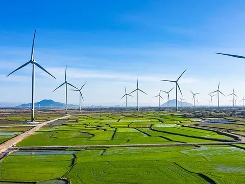 Cần hành lang pháp lý thông suốt cho điện sạch