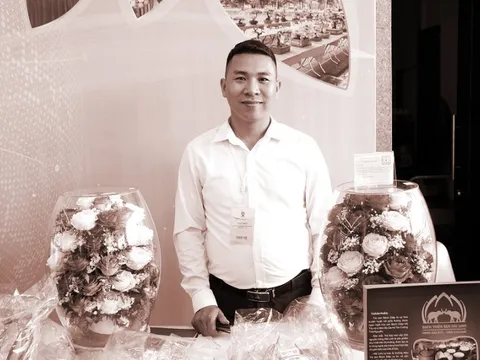 Khởi nghiệp với “hoa bất tử”