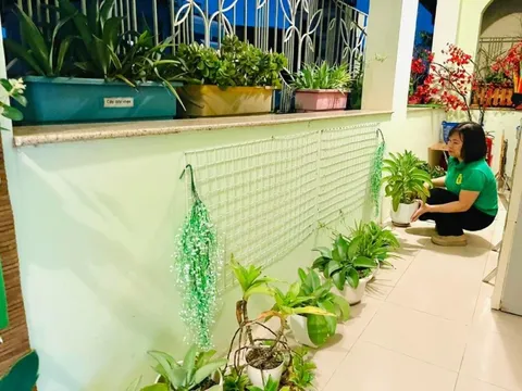 Cán bộ, giáo viên, học sinh và phụ huynh phường Cửa Nam chung tay ứng phó hiệu quả với cơn bão số 11