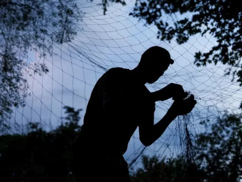 Nguyên nhân Ukraine cần lưới đánh cá “càng nhiều càng tốt”