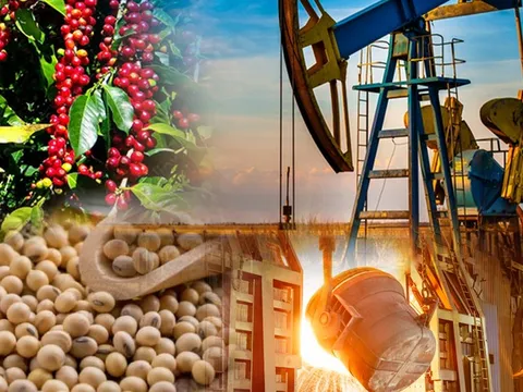 THỊ TRƯỜNG HÀNG HÓA: Dòng tiền quay lại, sắc xanh lan tỏa