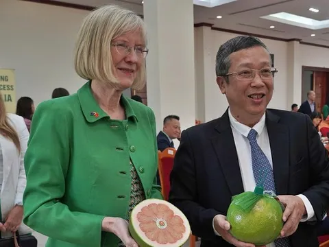 Lần đầu tiên, trái bưởi Việt Nam xuất khẩu sang Úc