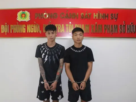 Hải Phòng: Bắt giữ 2 đối tượng gây ra hàng loạt vụ cướp giật