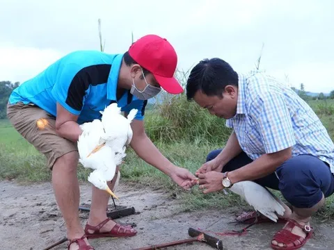 Mật phục lúc rạng sáng, bắt giữ 2 “thợ săn” chim trời ở Huế