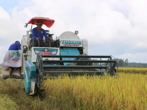Công nghệ mở đường cho sản xuất lúa chất lượng cao, phát thải thấp ở ĐBSCL