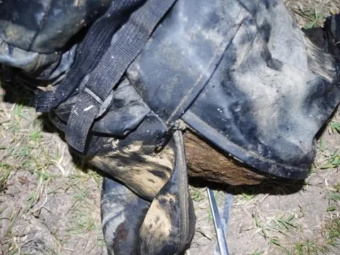 Bí ẩn thi thể nổi giữa hồ, trên lưng đeo ba lô có đá ở Đà Nẵng