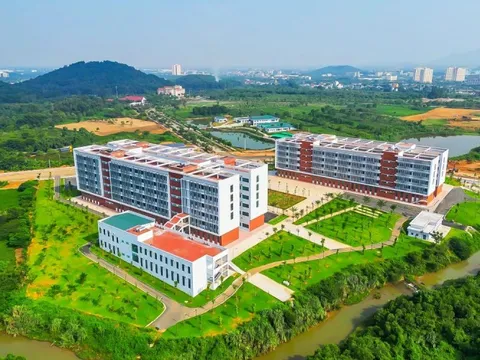 Vẽ lại bản đồ giáo dục đại học Việt Nam: Yêu cầu cấp bách của kỷ nguyên mới