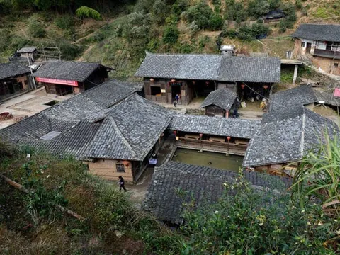 Bí ẩn ngôi làng độc lạ chưa từng có muỗi suốt 100 năm