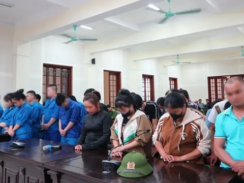 Chiếm đoạt 14,1 tỷ đồng bằng kịch bản "việc nhẹ, lương cao", 33 bị cáo hầu tòa