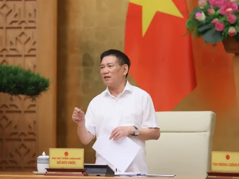 Phó Thủ tướng Hồ Đức Phớc: Cổ phần hóa là để doanh nghiệp mạnh lên chứ không phải bán đất