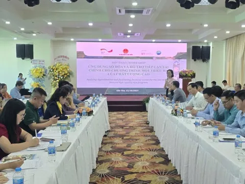 Tín dụng, dữ liệu và bảo hiểm: Ba trụ cột cho Đề án 1 triệu hecta lúa