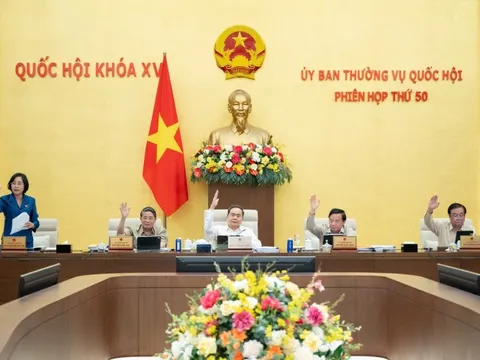 Chốt số lượng Phó Chủ tịch HĐND cấp tỉnh, cấp xã