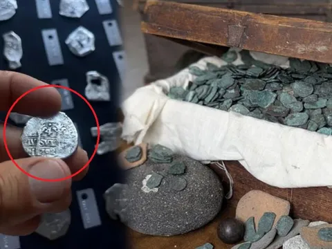 Đi ngắm biển, nhặt được kho báu 26 tỷ đồng
