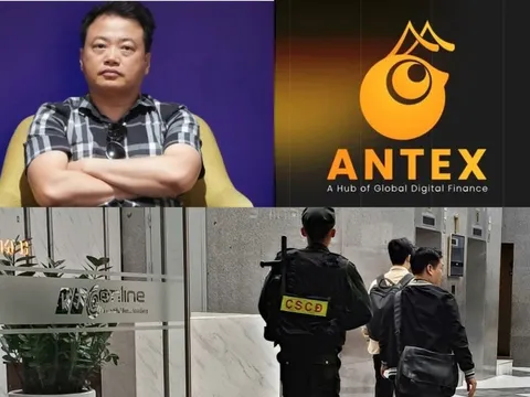 Tại sao dự án tiền ảo AntEx của Shark Bình sau 4 năm mới được "cất vó"?