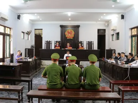 Cái kết có hậu vụ "anh nông dân nuôi gà lôi trắng": Được thả tự do ngay tại tòa