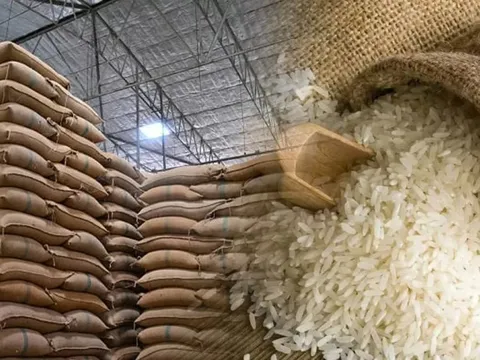 VCCI kiến nghị bỏ bớt một số điều kiện kinh doanh xuất khẩu gạo