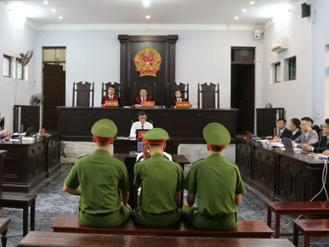 Miễn trách nhiệm hình sự cho người nuôi, bán gà lôi trắng