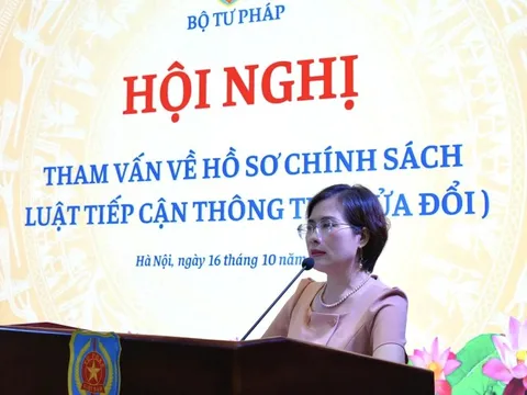 Tham vấn về hồ sơ chính sách Luật Tiếp cận thông tin (sửa đổi)